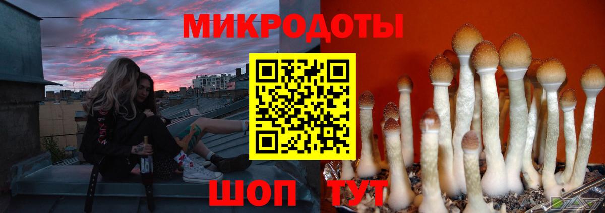 Сосновый Бор  Галлюциногенные грибы MAGIC MUSHROOMS  Псилоцибиновые грибы GOLDEN TEACHER  Вход с VPN 